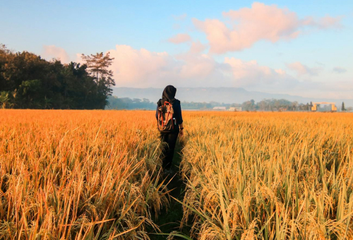 services-01 Services 01