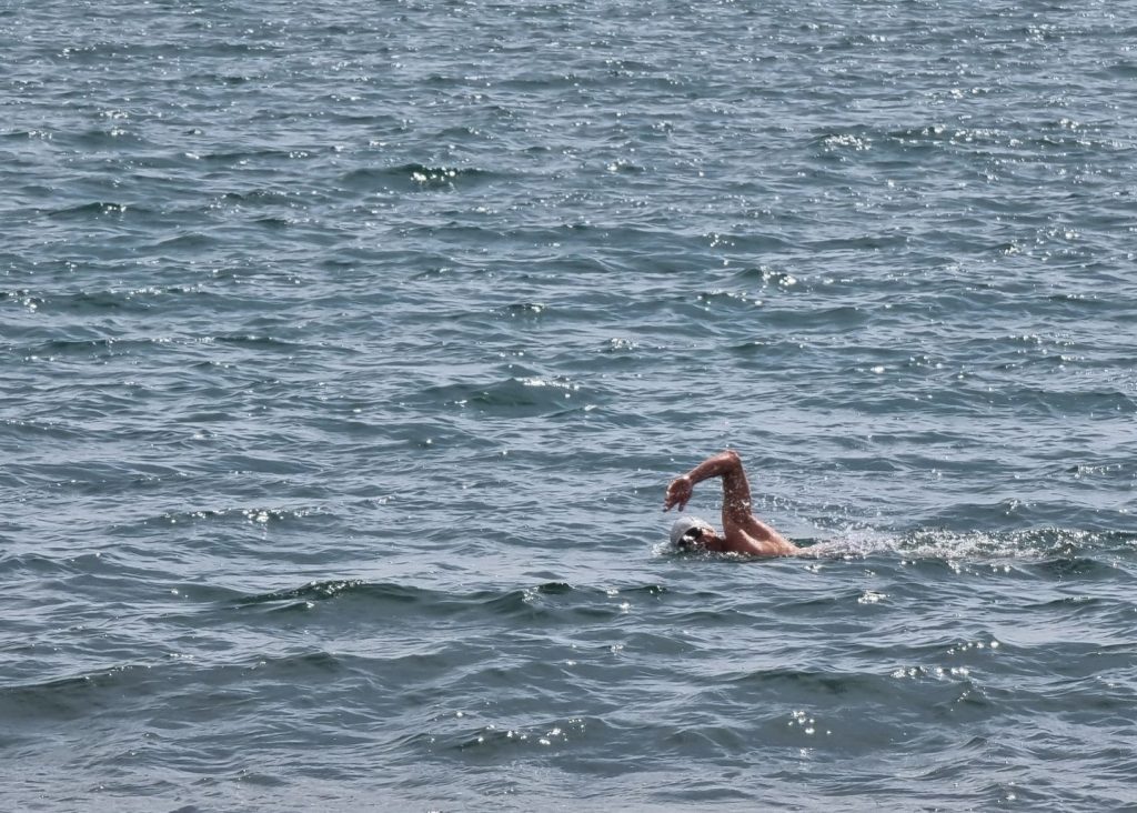Home Brighton Swim 1024x732