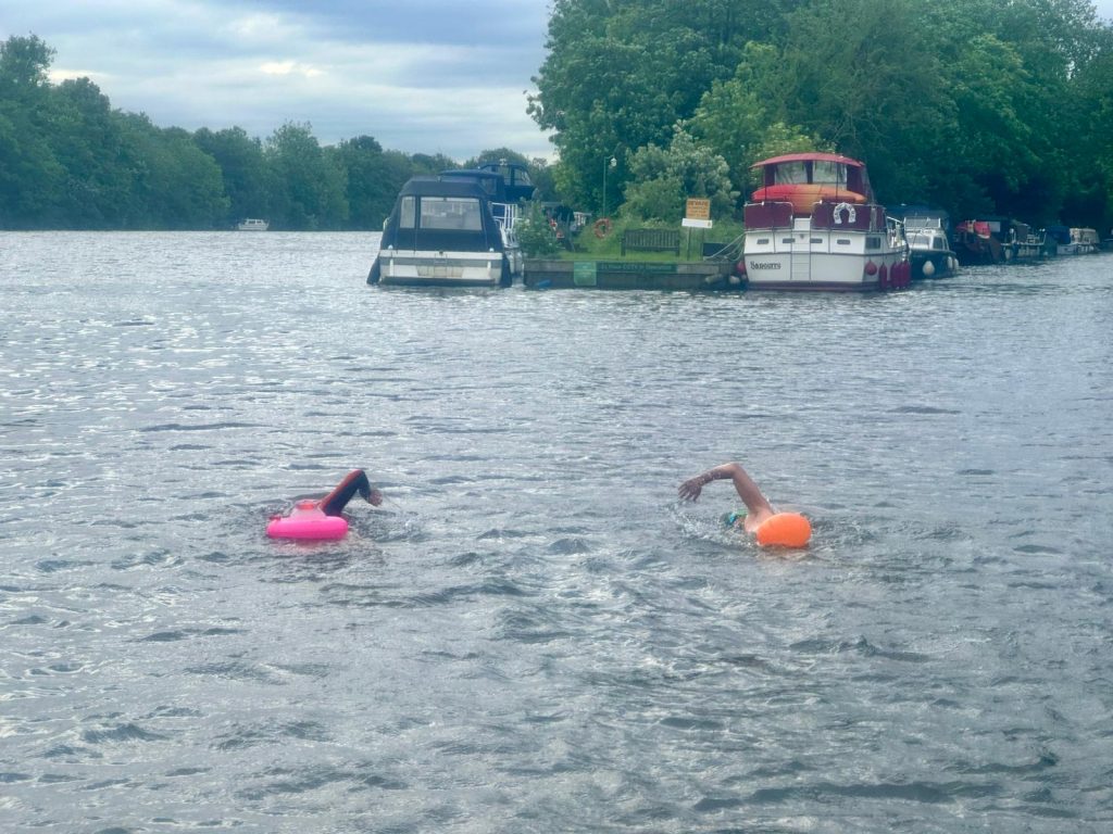 Two swimmers in the Thames swimming away from the camera
