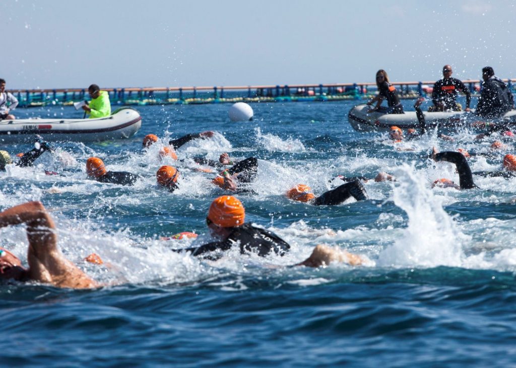 Swimmers in an outdoor swimming race